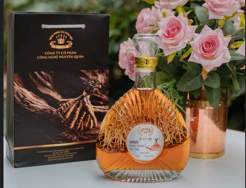 RƯỢU ĐÔNG TRÙNG HẠ THẢO XO 500ML