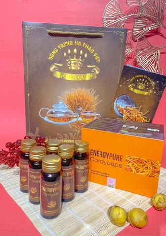 Tinh chất đông trùng hạ thảo