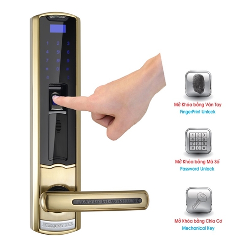 Khóa Vân Tay Kiểu Dáng Châu Âu H918BP-3-F Vàng NEWNEO