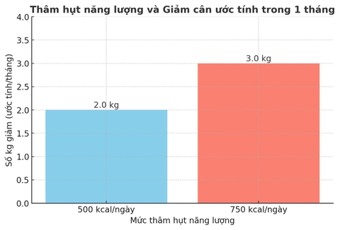 GIẢM CÂN AN TOÀN HIỆU QUẢ - CÂN BẰNG DINH DƯỠNG