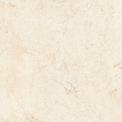 Gạch lát Viglacera Ceramic 80×80 ECO-S821/621