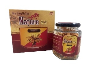 NATURE CORDY Premium - Đông Trùng Hạ Thảo thượng hạng