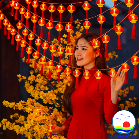 Dây đèn LED Lồng Đèn Đỏ Pin Năng Lượng Mặt Trời Cảnh Đông - Trang trí tết, trang trí quán, sự kiện ngoài trời, cây mai, đào, cửa, ngõ
