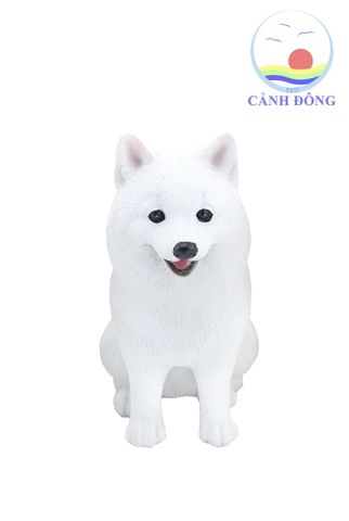 CHÓ SAMOYED TRẮNG TƯỢNG MÔ HÌNH ĐẸP