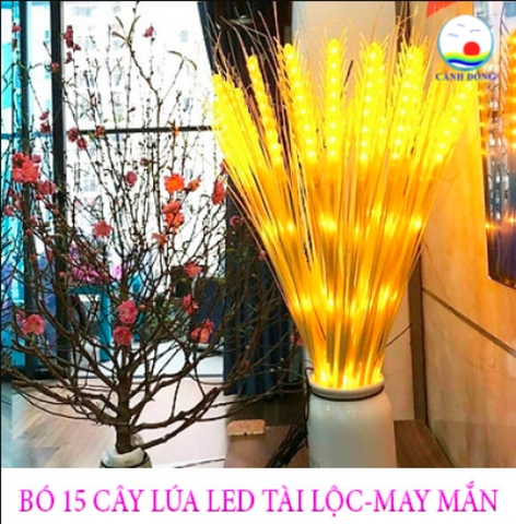 Bó 15 cây lúa đèn led tài lộc may mắn