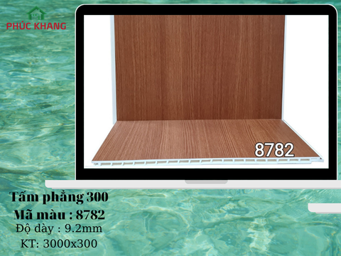 Tấm phẳng 300U