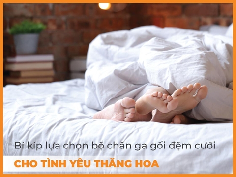 Bí kíp lựa chọn bộ chăn ga gối đệm cưới cho tình yêu thăng hoa