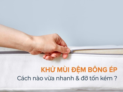 Cách vệ sinh đệm bông ép khử mùi hiệu quả nhất