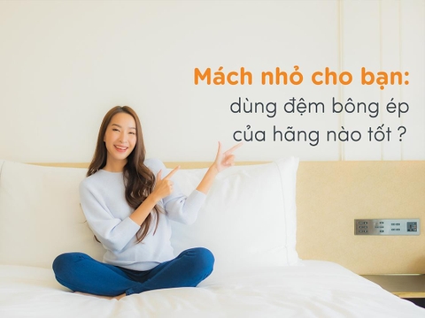 Mách nhỏ cho bạn: dùng đệm bông ép của hãng nào tốt?
