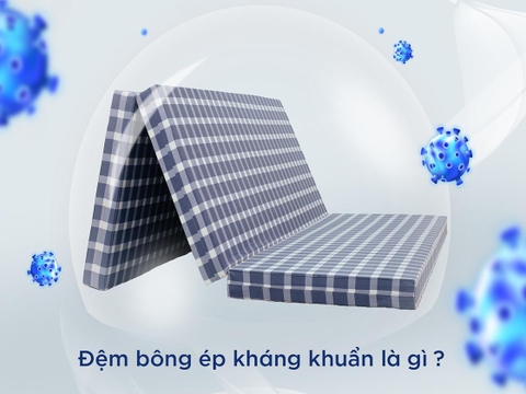 Đệm bông ép kháng khuẩn là gì? Loại nào tốt?