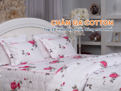 TOP 20+ bộ chăn ga gối đệm cotton đáng mua nhất hiện nay
