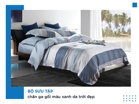 Bộ sưu tập chăn ga gối màu xanh da trời đẹp