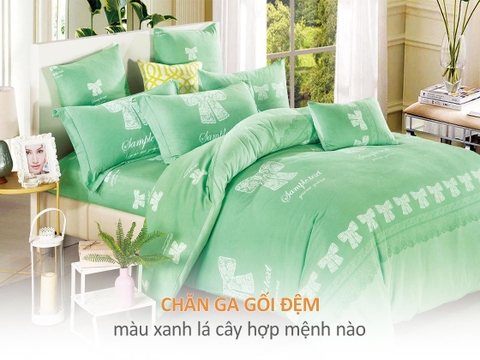 Chăn ga gối đệm màu xanh lá cây hợp mệnh nào?