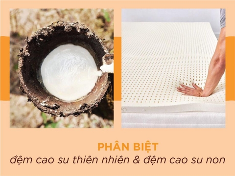Phân biệt đệm cao su thiên nhiên và đệm cao su non
