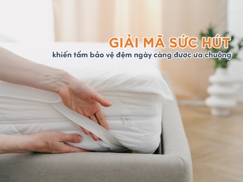 Lý giải nguyên nhân tấm bảo vệ nệm ngày càng được ưa chuộng