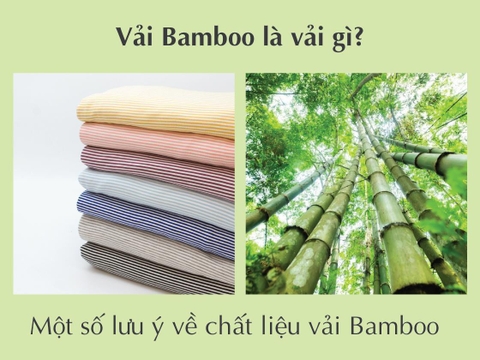 Vải Bamboo là vải gì? Một số lưu ý về chất liệu vải Bamboo