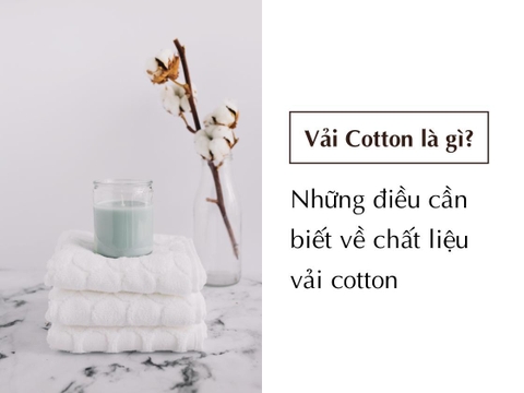 Vải Cotton là gì? Những điều cần biết về chất liệu vải cotton