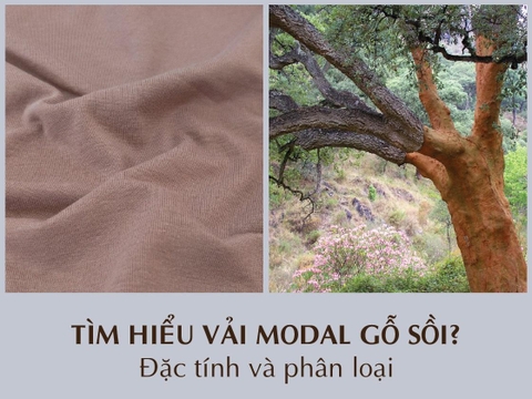 Vải modal là gì? Đặc tính và phân loại vải modal