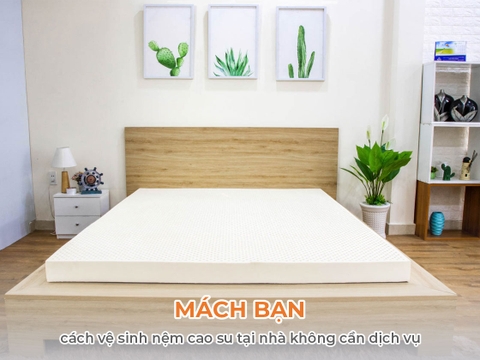 Mách bạn cách vệ sinh nệm cao su tại nhà không cần dịch vụ