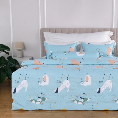 Bộ ga phủ Bellis B36