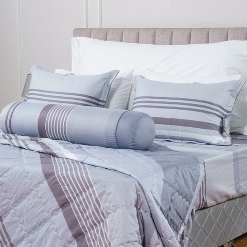 Bộ ga chun Bellis B59