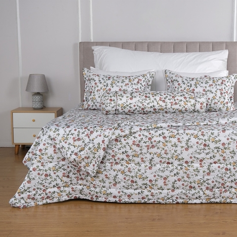 Bộ ga chun Bellis B44