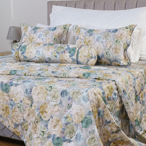 Bộ ga chun Bellis B47