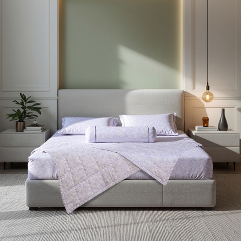 Bộ ga chun Bellis B48