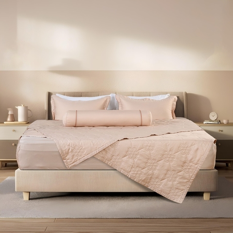 Bộ ga chun Bellis B51