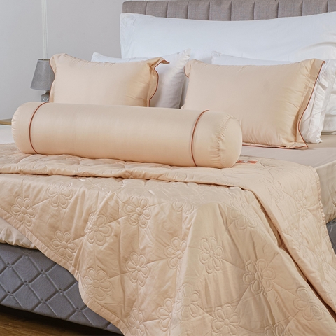 Bộ ga chun Bellis B52