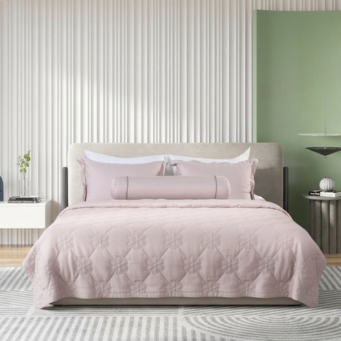 Bộ ga chun Bellis B53