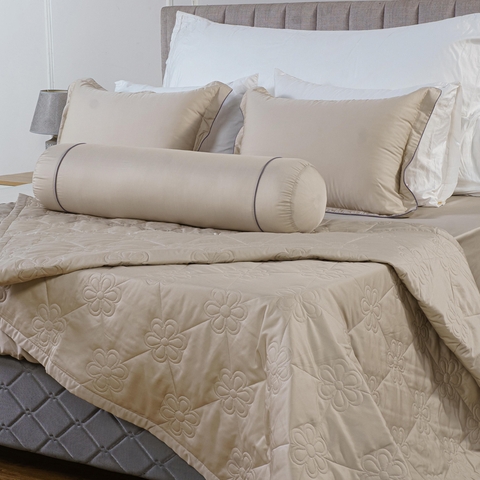 Bộ ga chun Bellis B54