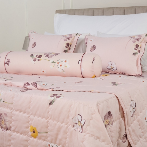 Bộ ga chun Bellis B60