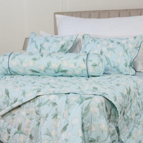 Bộ ga chun Bellis B61