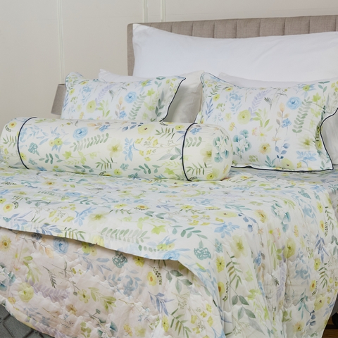 Bộ ga chun Bellis B62