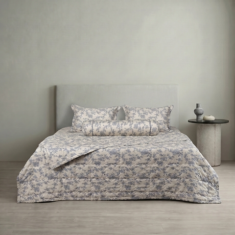 Bộ ga chun Bellis B64