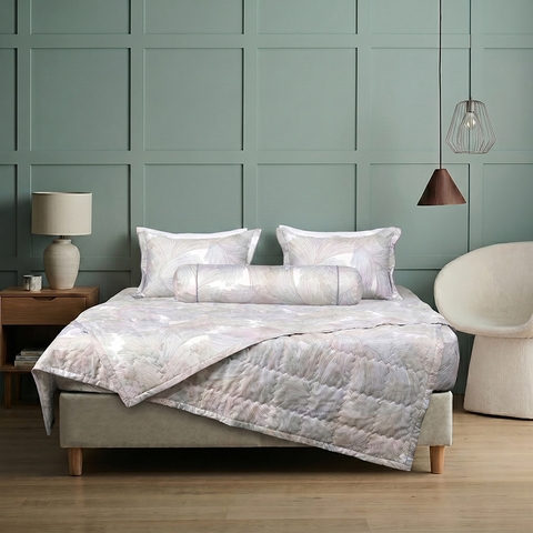 Bộ ga chun Bellis B66