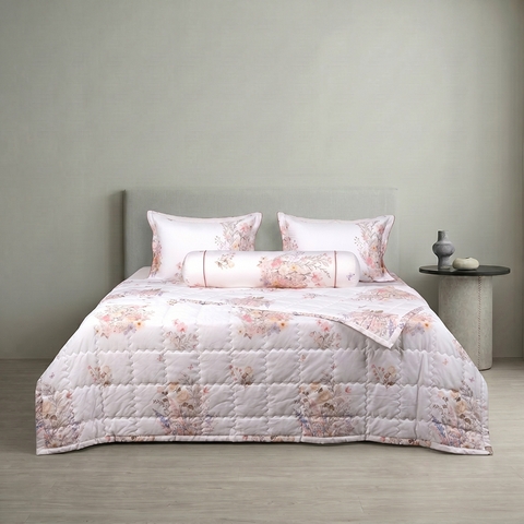 Bộ ga chun Bellis B67