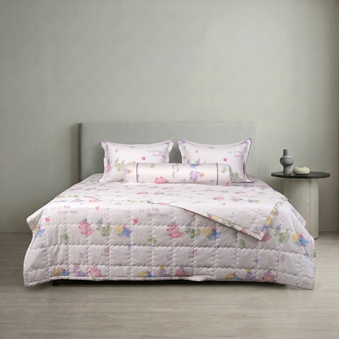 Bộ ga chun Bellis B69