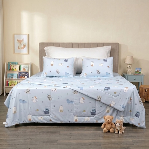 Bộ ga chun chần mặt Coolnest CL34