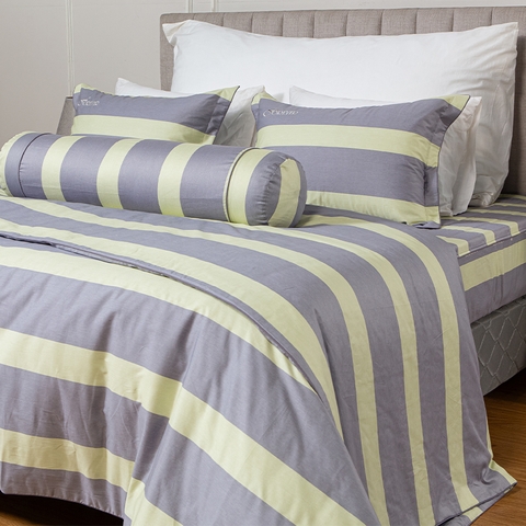 Bộ ga chun chần mặt Melody M234