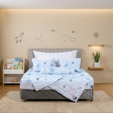 Bộ ga chun Elegant H190
