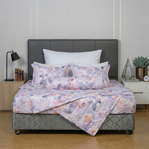 Bộ ga chun Elegant H195