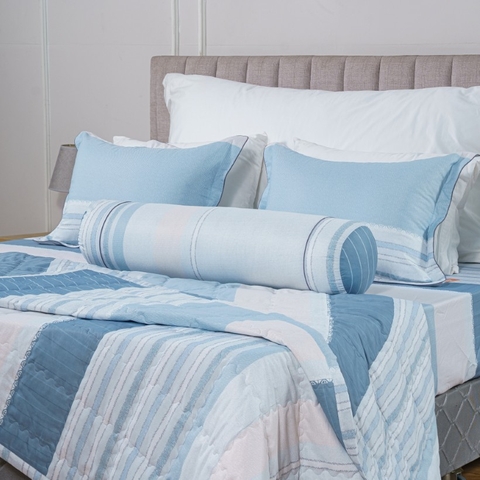 Bộ ga chun Elegant H191