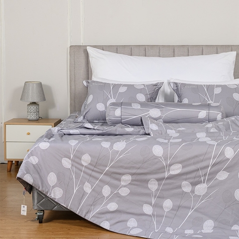 Bộ ga chun Melody M223