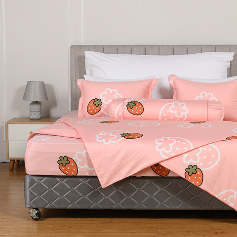 Bộ ga chun Melody M228