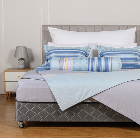 Bộ ga chun Melody M229