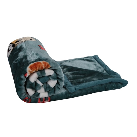 Chăn lông TE 24 HK (hình gấu xanh)