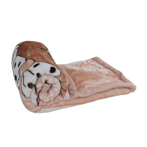 Chăn lông TE 24 HK (hình gấu nâu)