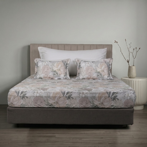 Ga chun Bellis B70